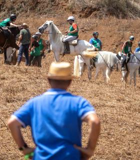 Casi 40 jinetes protagonizan la II Sortija de Caballos de La Esperanza · foto 3