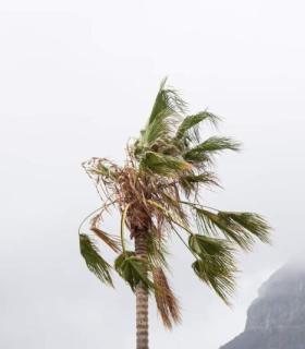 El Cabildo de La Gomera pide precaución ante la situación de inestabilidad meteorológica · foto 2