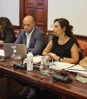 El Pleno de Tacoronte acuerda reducir el IBI al 0,53% · foto 2