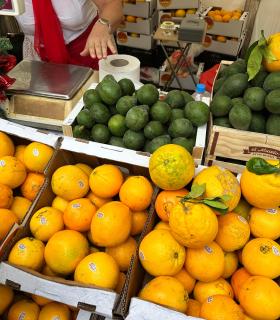 La 14Âª Feria de la Naranja ‘saca el jugo’ a la gran calidad de la citricultura de Telde · foto 12