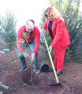 Tacoronte celebra los 150 años de Cruz Roja con la plantación de varios árboles junto a la sede comarcal de la entidad · foto 3
