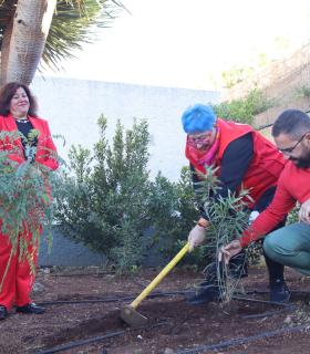 Tacoronte celebra los 150 años de Cruz Roja con la plantación de varios árboles junto a la sede comarcal de la entidad · foto 2