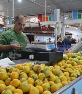 Adjudicado el proyecto de reforma de la instalación eléctrica del Mercadillo del Agricultor de Tacoronte · foto 2