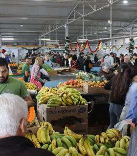 Adjudicado el proyecto de reforma de la instalación eléctrica del Mercadillo del Agricultor de Tacoronte · foto 1