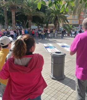 Los veterinarios entregan 20.500 firmas que rechazan el Decreto que los limita en su labor · foto 1
