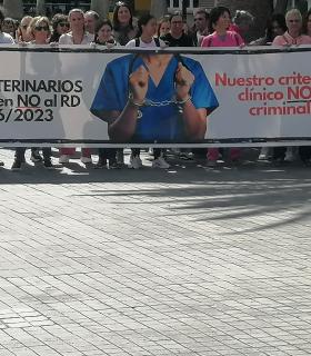 Los veterinarios entregan 20.500 firmas que rechazan el Decreto que los limita en su labor · foto 5