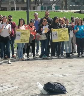 Los veterinarios entregan 20.500 firmas que rechazan el Decreto que los limita en su labor · foto 2