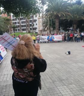 Los veterinarios entregan 20.500 firmas que rechazan el Decreto que los limita en su labor · foto 4