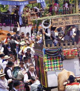 Tacoronte celebra con éxito una nueva jornada de exaltación de las tradiciones canarias · foto 2