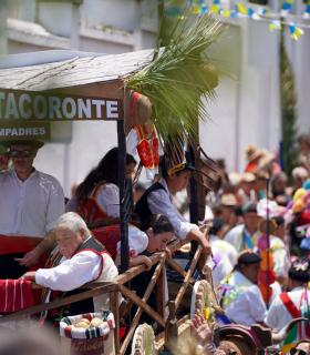 Tacoronte celebra con éxito una nueva jornada de exaltación de las tradiciones canarias · foto 5