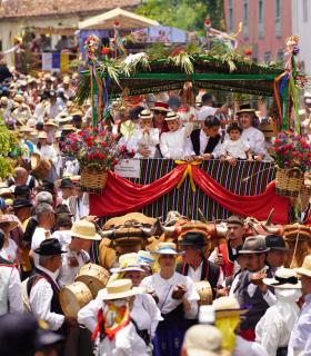 Tacoronte celebra con éxito una nueva jornada de exaltación de las tradiciones canarias · foto 8