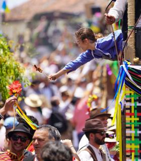 Tacoronte celebra con éxito una nueva jornada de exaltación de las tradiciones canarias · foto 14