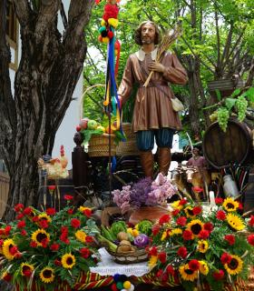 Tacoronte celebra con éxito una nueva jornada de exaltación de las tradiciones canarias · foto 12