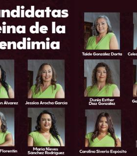 Tacoronte prepara para este viernes la vuelta de la Gala de Elección de la Reina de la Vendimia · foto 1