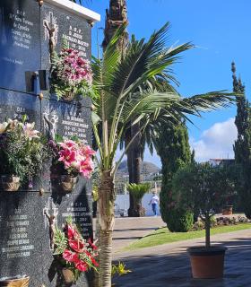 El Cementerio de Tacoronte amplía su horario de apertura por el Día de Finados · foto 3