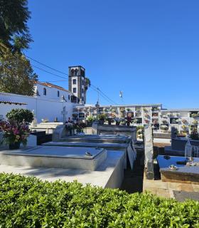 El Cementerio de Tacoronte amplía su horario de apertura por el Día de Finados · foto 2