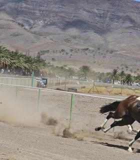 A galope en la carrera de caballos este sábado en la pista de Pozo Negro · foto 1