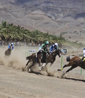 A galope en la carrera de caballos este sábado en la pista de Pozo Negro · foto 2