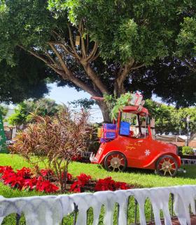 Buenavista del Norte da la bienvenida a la Navidad con su tradicional encendido · foto 2