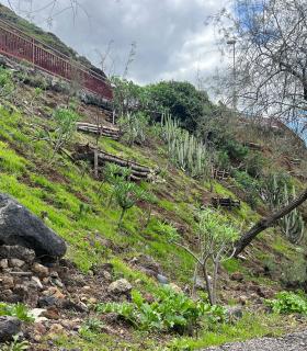 Parques y Jardines acondiciona el talud del litoral de El Pris con recursos más sostenibles · foto 3