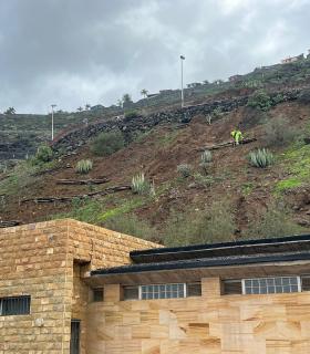 Parques y Jardines acondiciona el talud del litoral de El Pris con recursos más sostenibles · foto 1