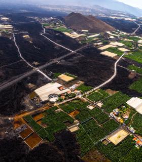 ASEPALMA celebra el cumplimiento del Gobierno canario con los agricultores afectados del volcán y reclama al Estado los fondos pendientes para completar la reconstrucción · foto 1