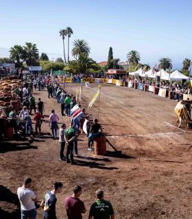 El barrio de San Juan prepara una nueva edición festiva en honor a San Antonio Abad · foto 3