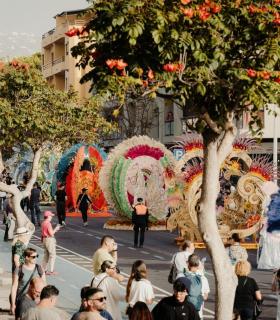Los Llanos de Aridane recicla más de 2.200 kilos de envases ligeros en Carnaval, equivalente al peso de un coche · foto 2