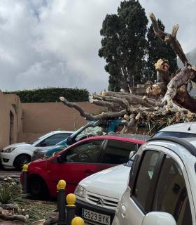 Caída del Drago de San Francisco · foto 1