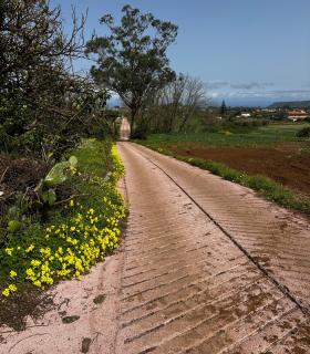 Finaliza la pavimentación de los caminos agrícolas de Tagoro y El Natero · foto 2