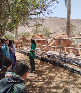 Antigua impulsa las excursiones y actividades gratuitas para jóvenes del Municipio · foto 4