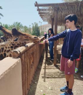 Antigua impulsa las excursiones y actividades gratuitas para jóvenes del Municipio · foto 1
