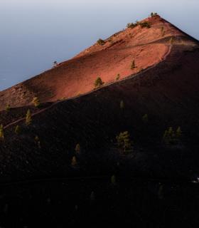 La Transvulcania adidas afronta su edición más competitiva con un elenco mundial en sus tres distancias y récord de participación en las modalidades inclusivas · foto 1