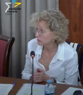 CC y PP en Icod de los Vinos solicitan un pleno extraordinario ante el deterioro que sufre la Policía Local por el abandono del Gobierno local · foto 1