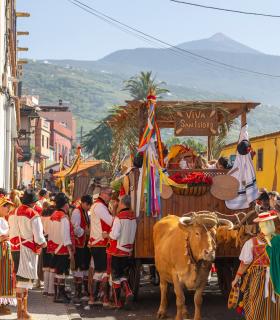 La Orotava celebra el próximo domingo la tradicional romería en honor a sus santos patronos · foto 8