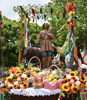 La Romería en honor a San Isidro Labrador reafirma el compromiso de Tacoronte con sus tradiciones · foto 5