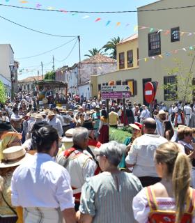 La Romería en honor a San Isidro Labrador reafirma el compromiso de Tacoronte con sus tradiciones · foto 8