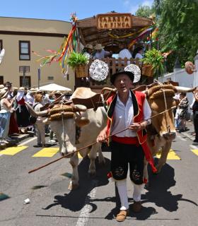 La Romería en honor a San Isidro Labrador reafirma el compromiso de Tacoronte con sus tradiciones · foto 2