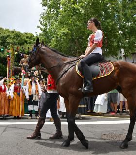 La Romería en honor a San Isidro Labrador reafirma el compromiso de Tacoronte con sus tradiciones · foto 3