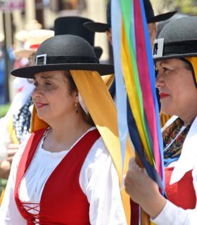 La Romería en honor a San Isidro Labrador reafirma el compromiso de Tacoronte con sus tradiciones · foto 11