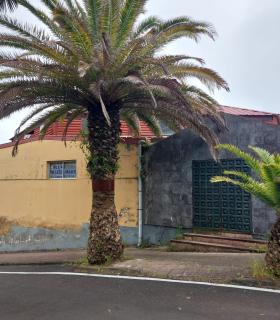 El terrero de La Luz retrata el abandono del Gobierno de Tacoronte · foto 2