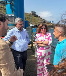 Gobierno de Canarias y Ayuntamiento consensúan mejoras para el entorno pesquero de El Pris · foto 5