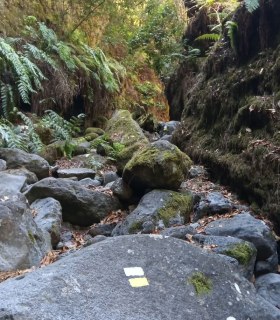 El Cabildo abre definitivamente el sendero de Marcos y Cordero · foto 2