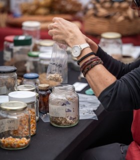 Taborno, La Laguna y Tegueste protagonistas del primer fin de semana del Anaga Biofest · foto 5