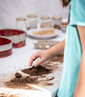 Taborno, La Laguna y Tegueste protagonistas del primer fin de semana del Anaga Biofest · foto 3