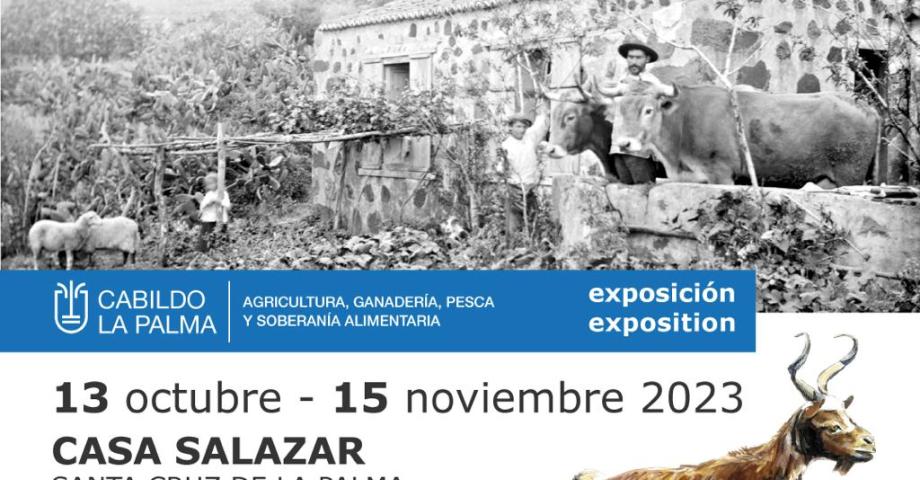La Casa Salazar acoge una exposición dedicada a las razas autóctonas palmeras