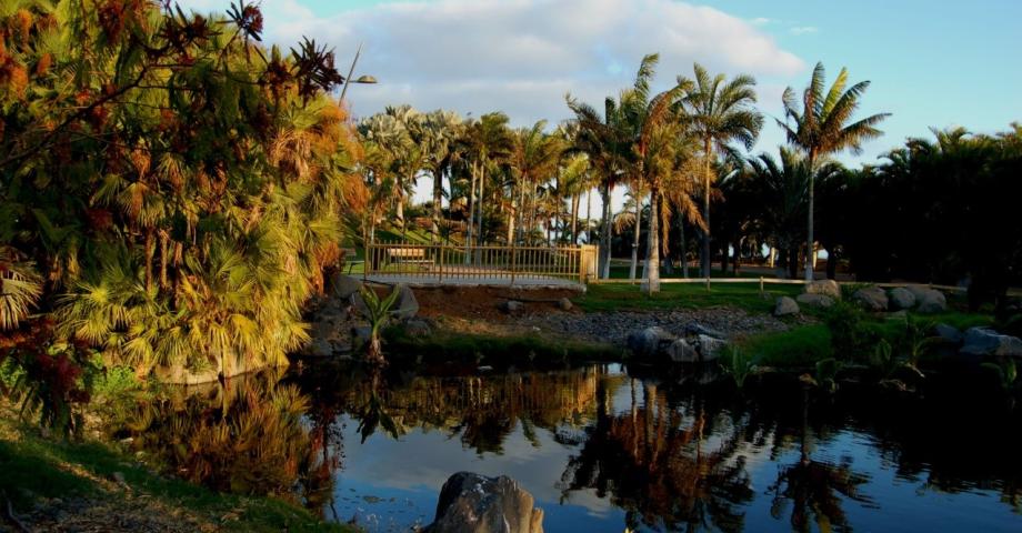 Santa Cruz cierra 2023 con un nuevo récord de visitantes al Palmetum