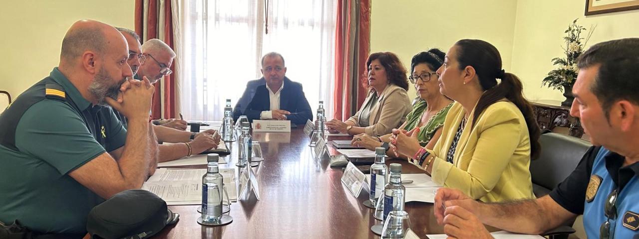 El Ayuntamiento de Tacoronte solicita a la Subdelegaci&oacute;n del Gobierno m&aacute;s l&iacute;neas de colaboraci&oacute;n en materia de seguridad
