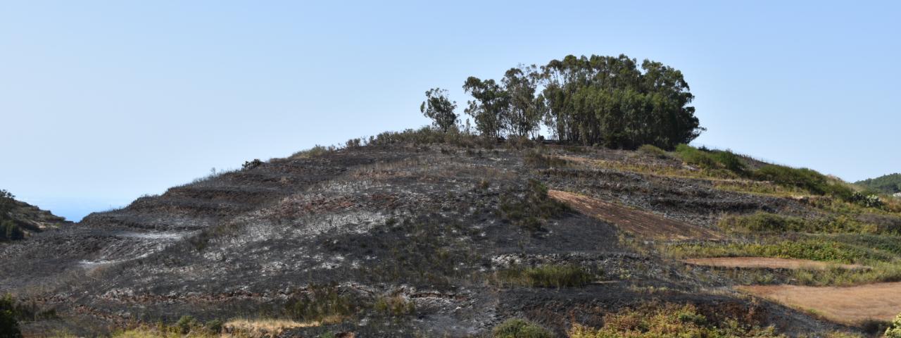 Investigaci&oacute;n abierta tras dos incendios provocados el domingo en El Rosario, el segundo de ellos de madrugada