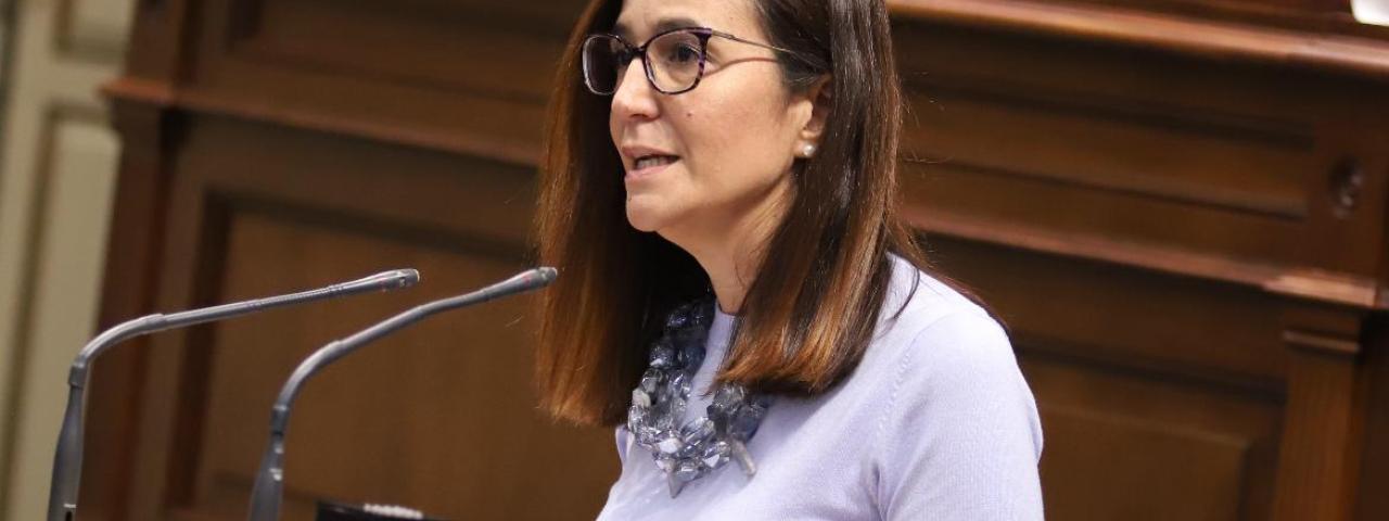 Nueva Canarias-bc denuncia el "naufragio inminente en la gesti&oacute;n de los servicios sociales en Canarias